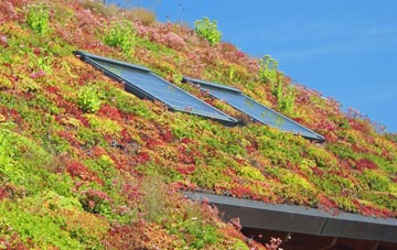 St Osyth living roof systems